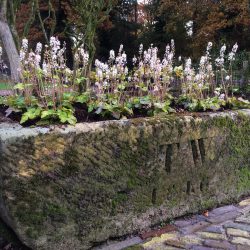 Twickel Erve Olieslager