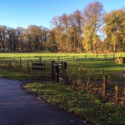 Twickel Erve Olieslager